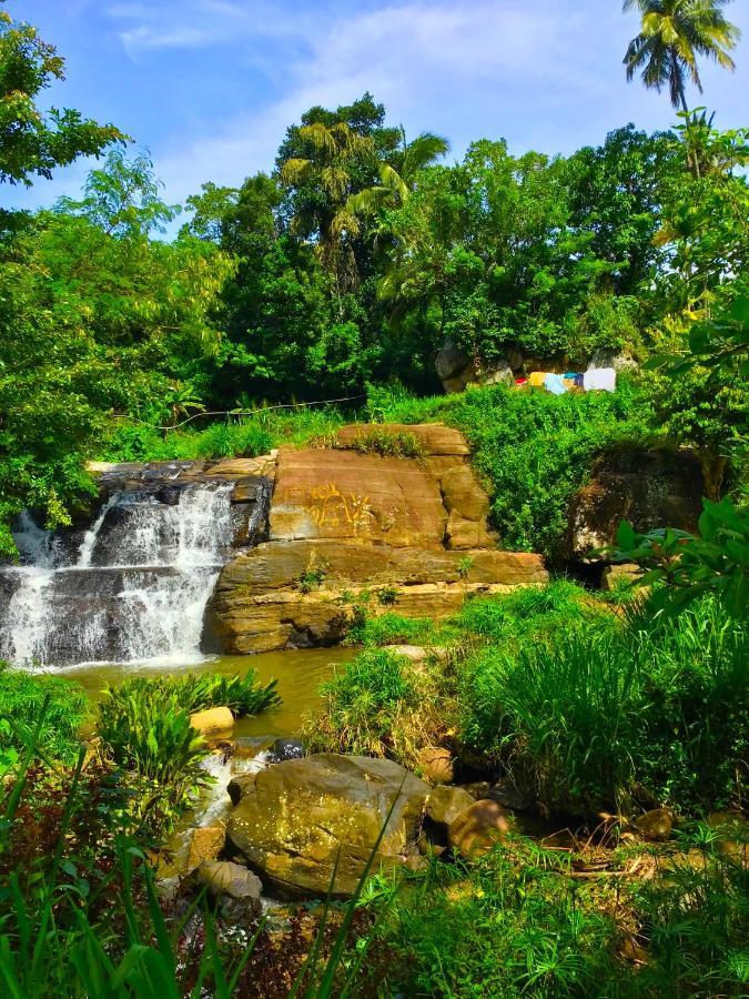 Jungle Tide Bed & Breakfast Канди Екстериор снимка