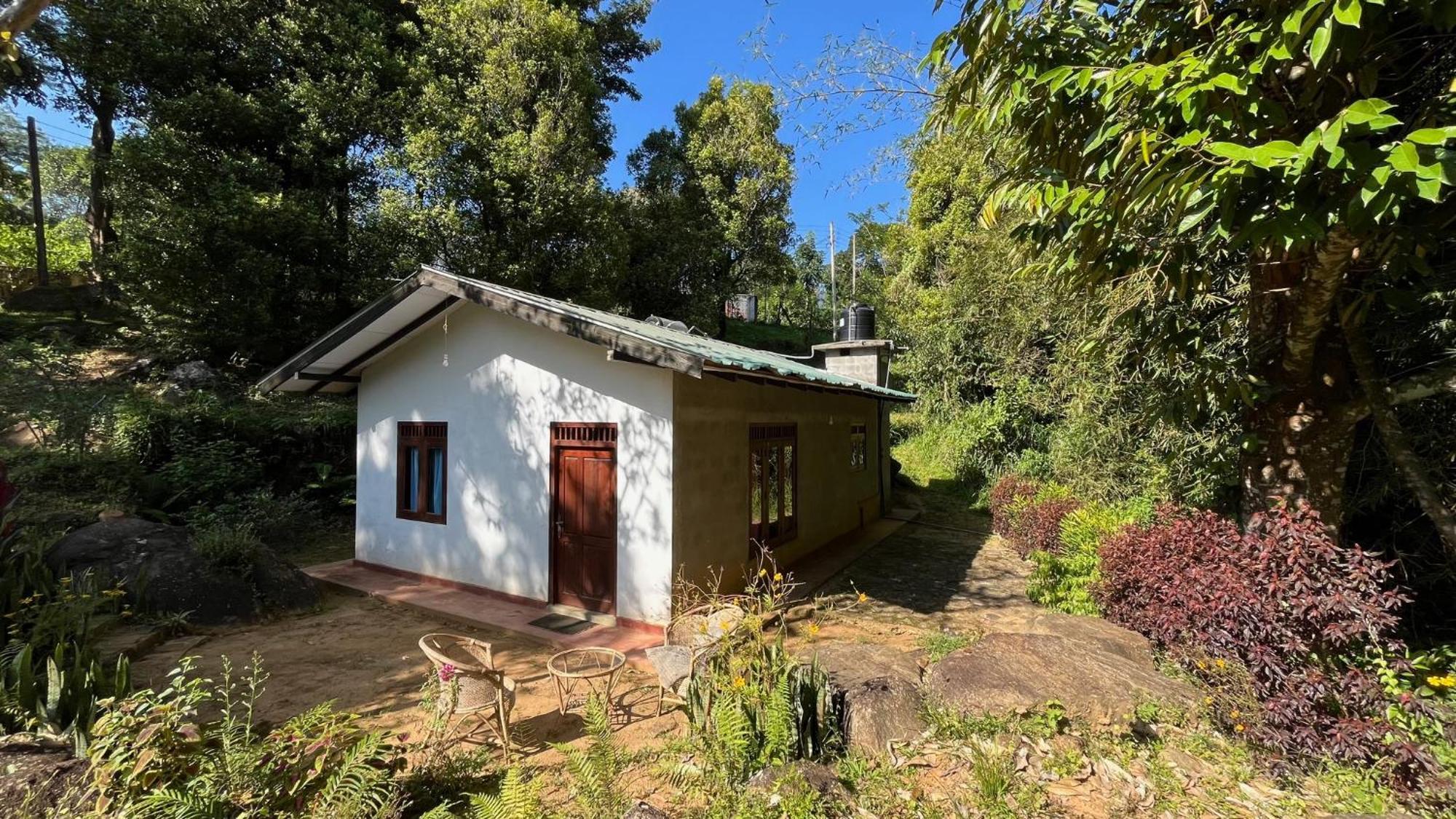 Jungle Tide Bed & Breakfast Канди Екстериор снимка