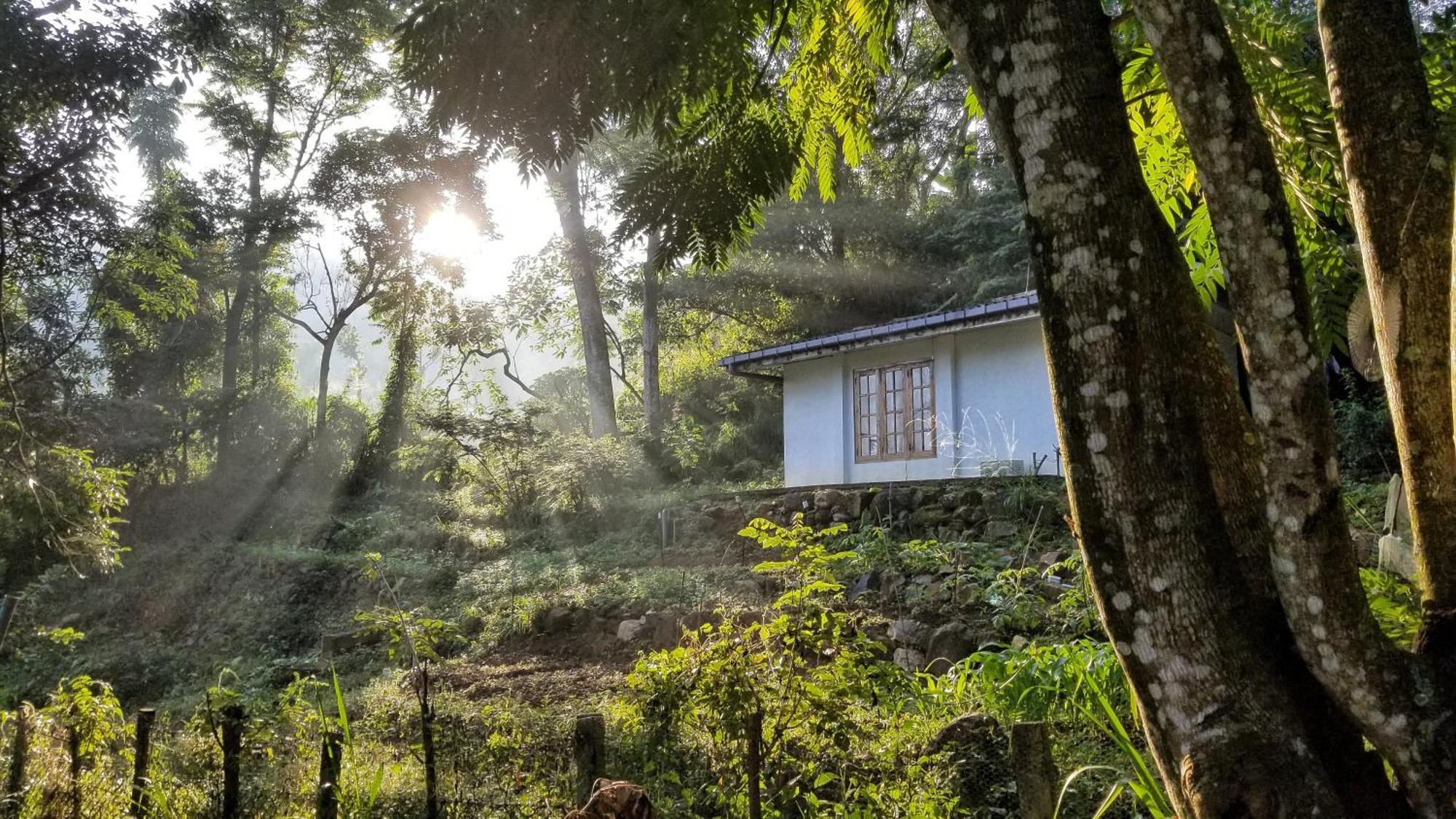 Jungle Tide Bed & Breakfast Канди Екстериор снимка